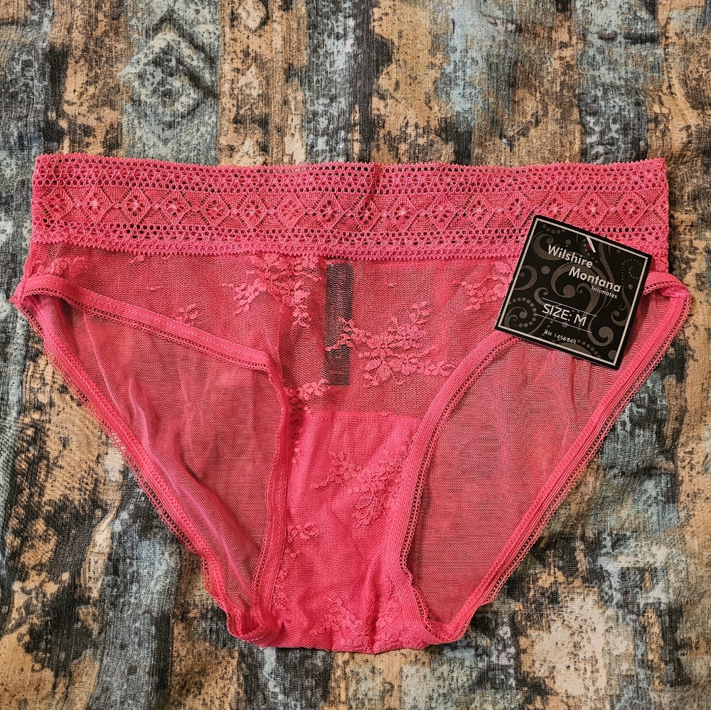NWT pink mesh/lace panties